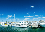 marina boat rentals