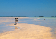 Key West Sandbars