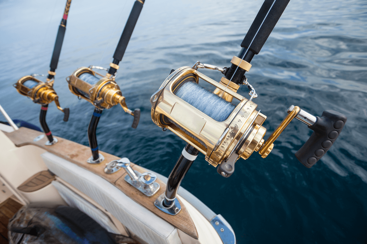 Deep Sea Fishing San Diego: Tips & Charter Information