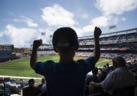 Best Baseball Stadiums on the Water