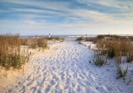 Best Beaches in Charleston, South Carolina