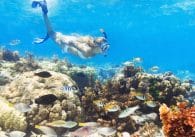 Snorkeling spots in Miami