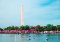 Romantic Boat Rides in Washington, D.C.