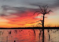 Lake Fork Fishing Guide.