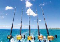 Best Deep Sea Fishing Destinations in Florida.