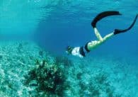 Islamorada Snorkeling Spots.