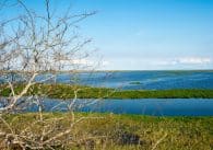 Lake Okeechobee Fishing Guide