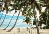 Beaches in the Florida Keys.