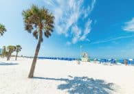 Florida Gulf Coast Islands.