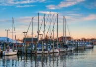 Marinas in Annapolis.