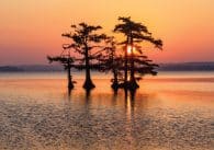 Lakes in Tennessee for Boating.