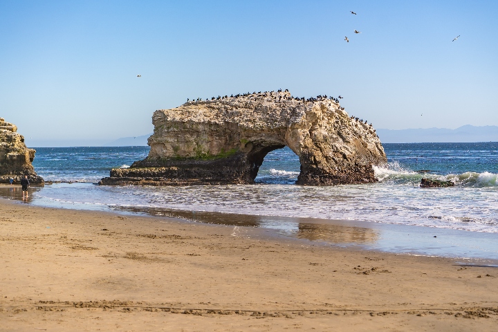 Natural Bridges Park