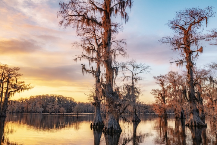 Caddo Lake, Louisiana