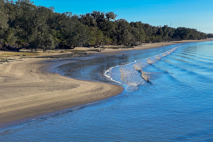 Cumberland Island, Georgia