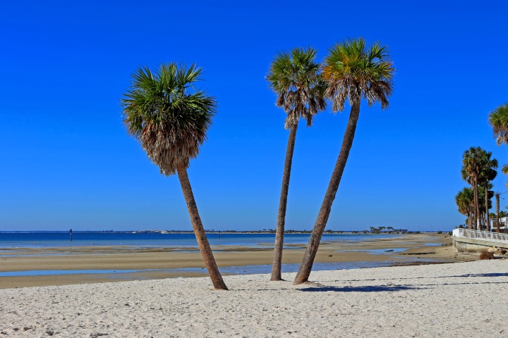 Ben T. Davis Beach