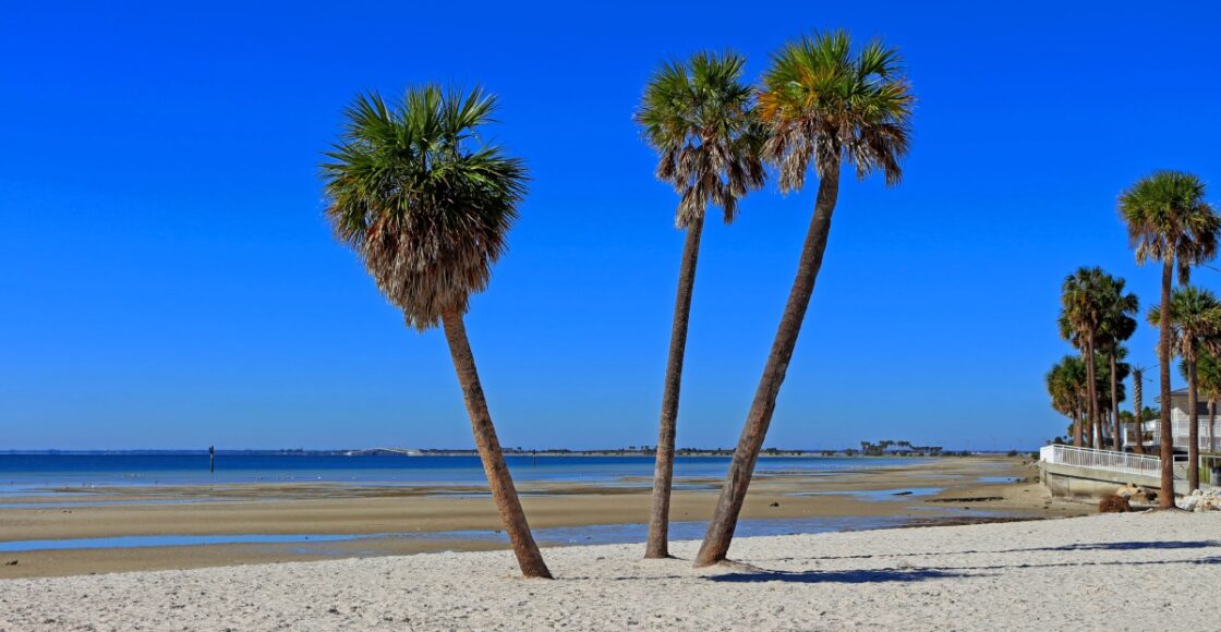 Best Beaches in Tampa