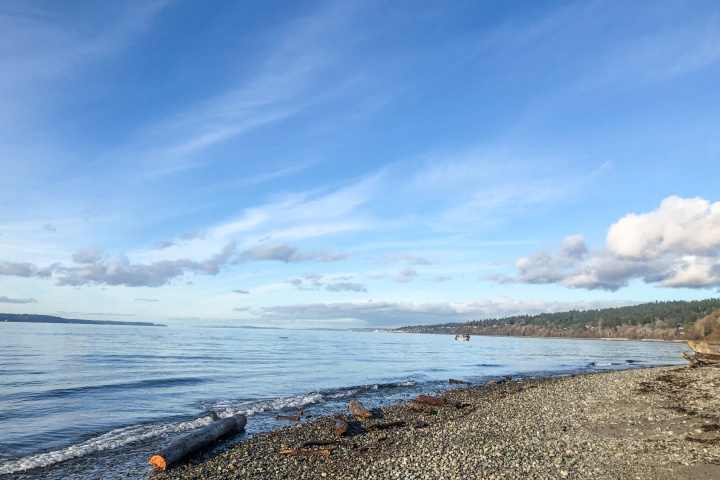 Carkeek Park