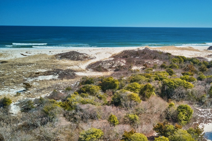 Island Beach State Park