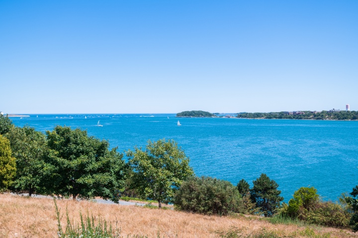 Spectacle Island Beach