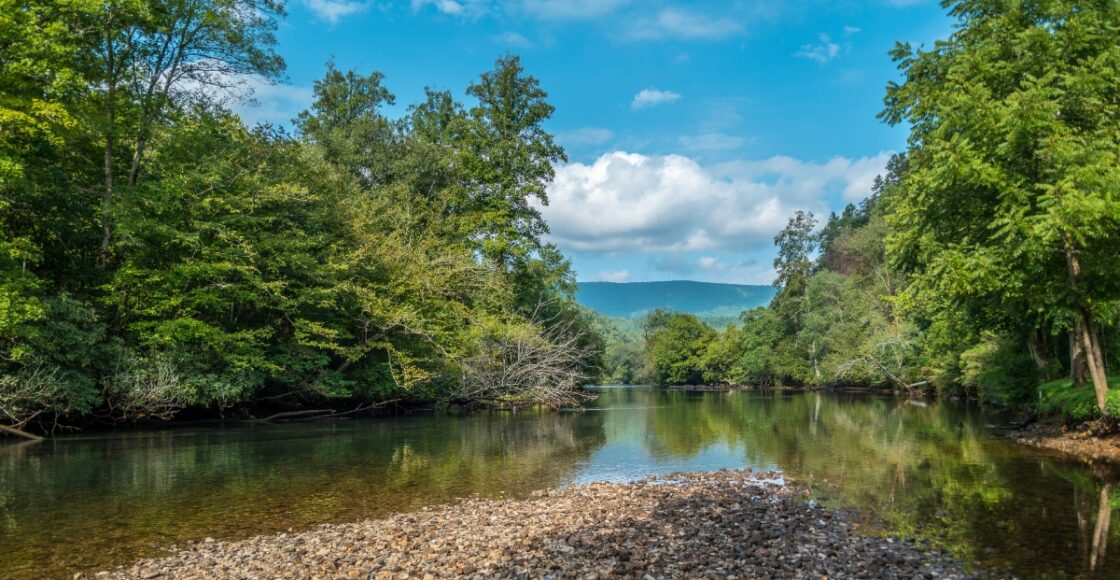 Best Fishing Spots Around Tennessee