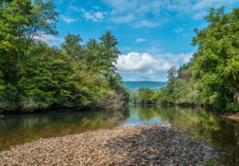 Best Fishing Spots Around Tennessee