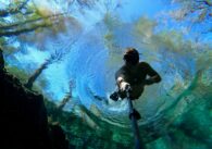 Best Snorkeling Spots in Florida