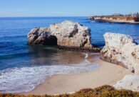 Best beaches in santa cruz