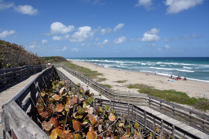 John D. MacArthur Beach State Park