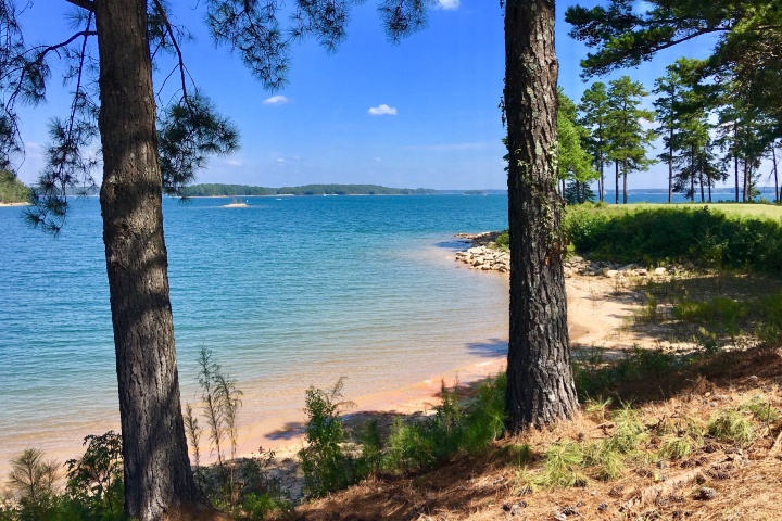 Lake Lanier Beaches