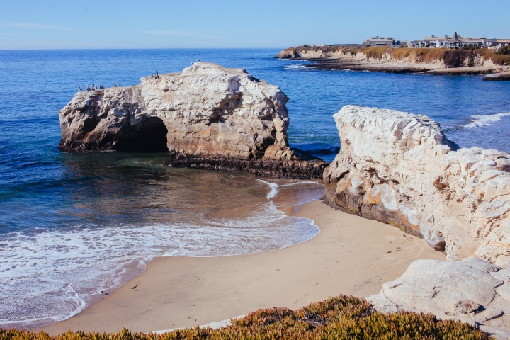 Natural Bridges State Beach