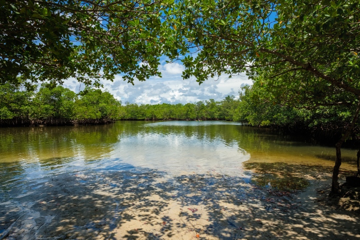 Oleta River State Park Beach