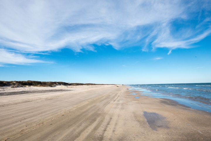 Padre Island National Seashore