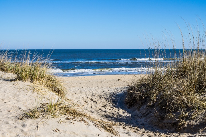 Sandbridge Beach