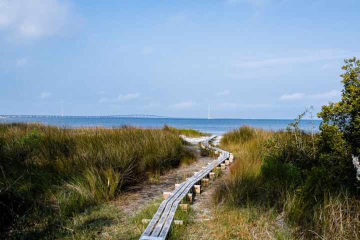 Apalachicola Bay