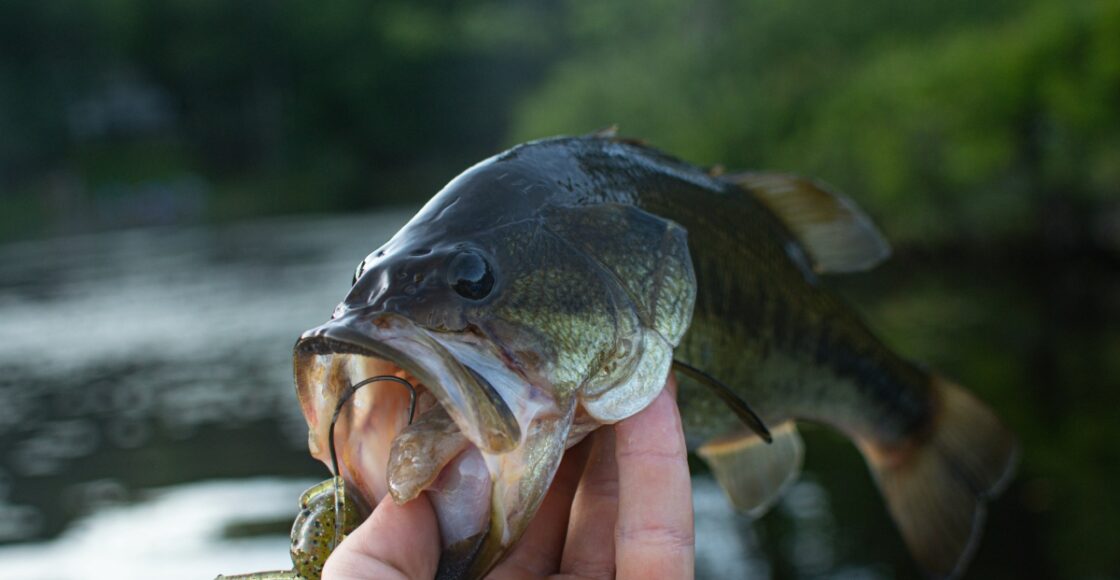 Best Fishing Spots in Connecticut