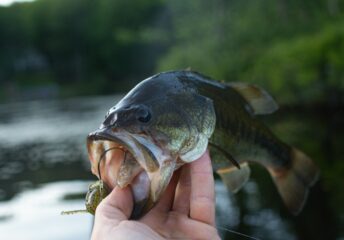 Best Fishing Spots in Connecticut