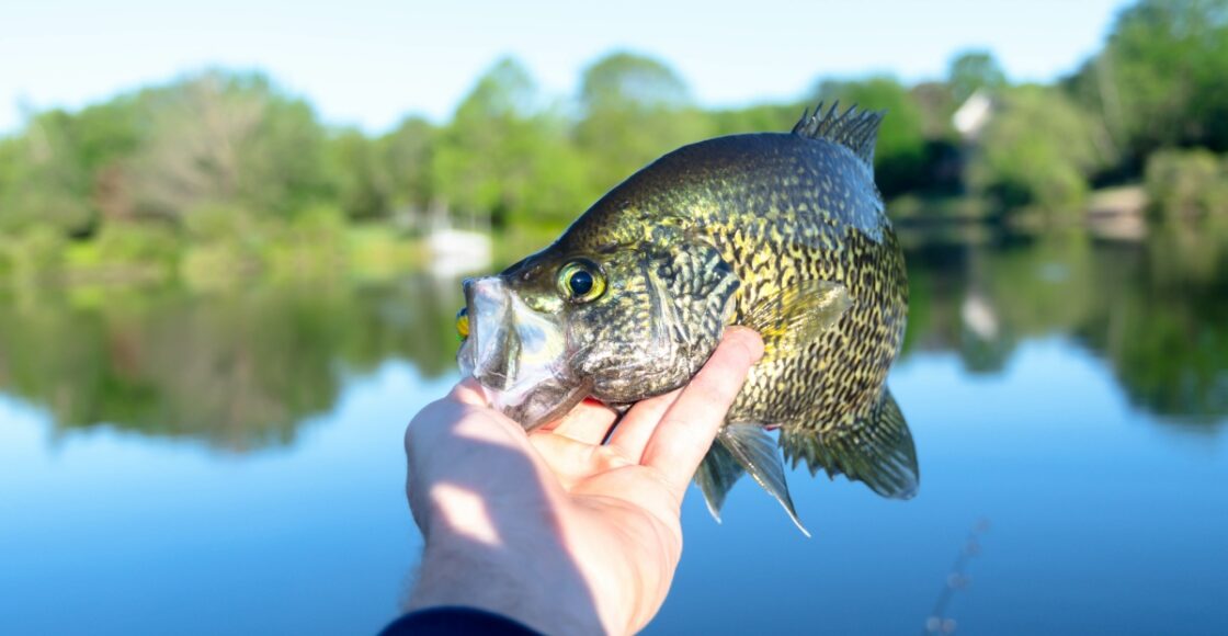 Best Fishing Spots in San Antonio