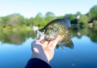 Best Fishing Spots in San Antonio