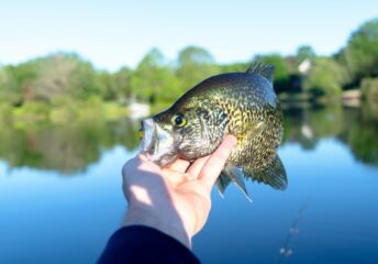 Best Fishing Spots in San Antonio