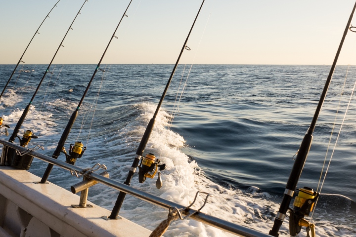 fishing guide vs a charter