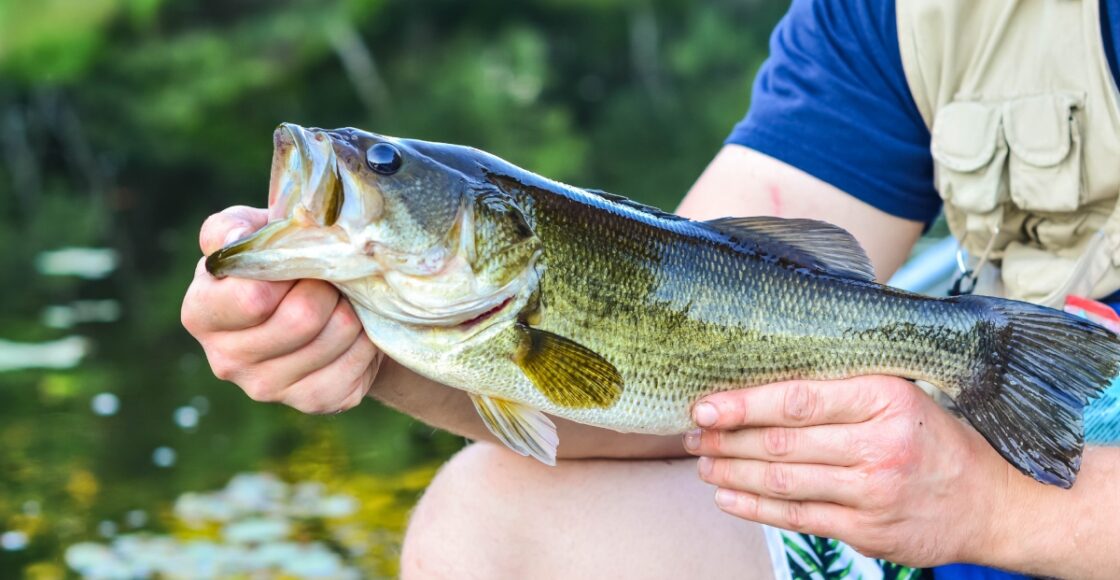 best fishing spots in dallas