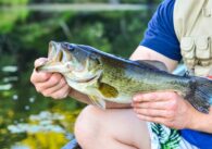 best fishing spots in dallas