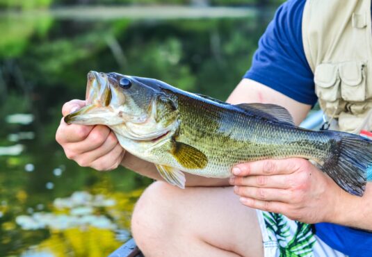 best fishing spots in dallas