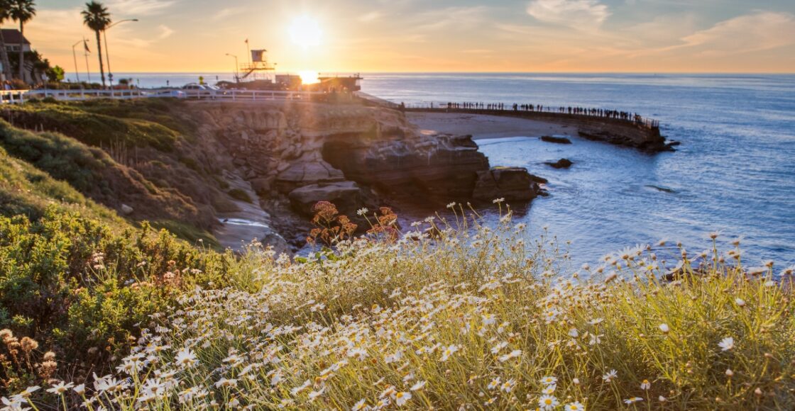 best things to do in san diego