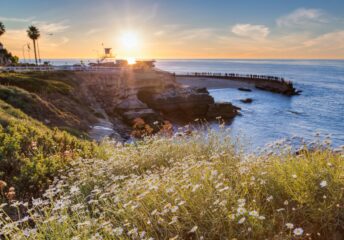 best things to do in san diego