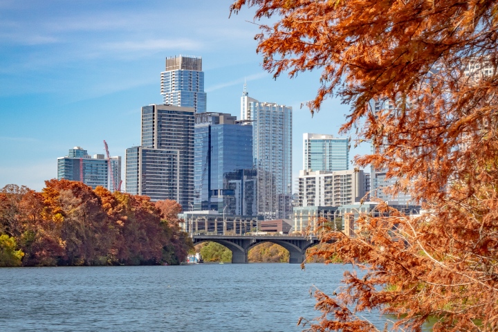 lady bird lake faqs