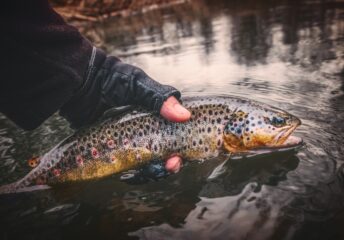 new mexico fishing spots