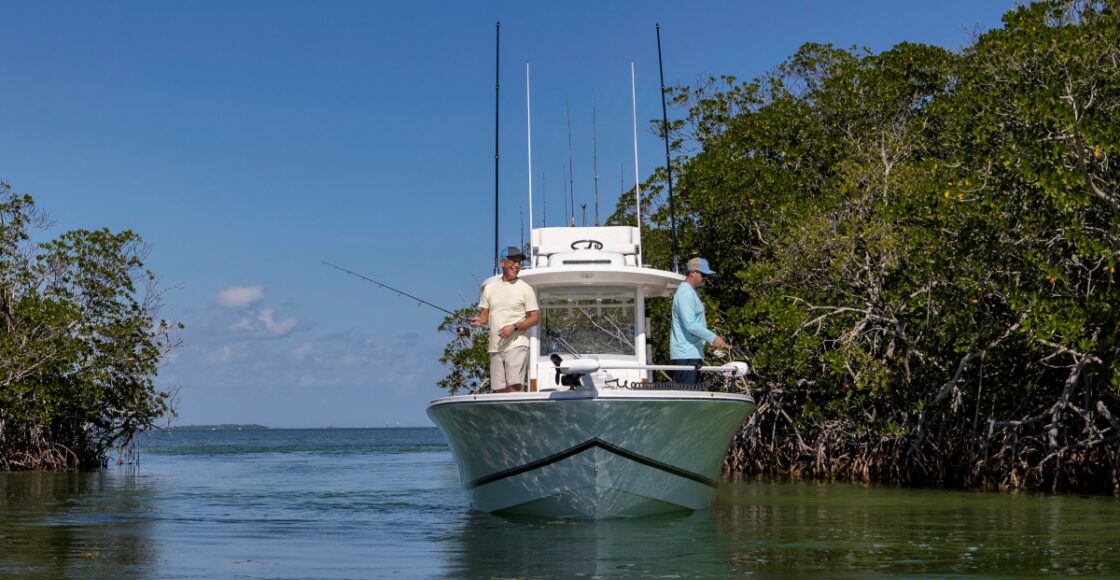 Florida Mangrove fishing