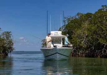 Florida Mangrove fishing