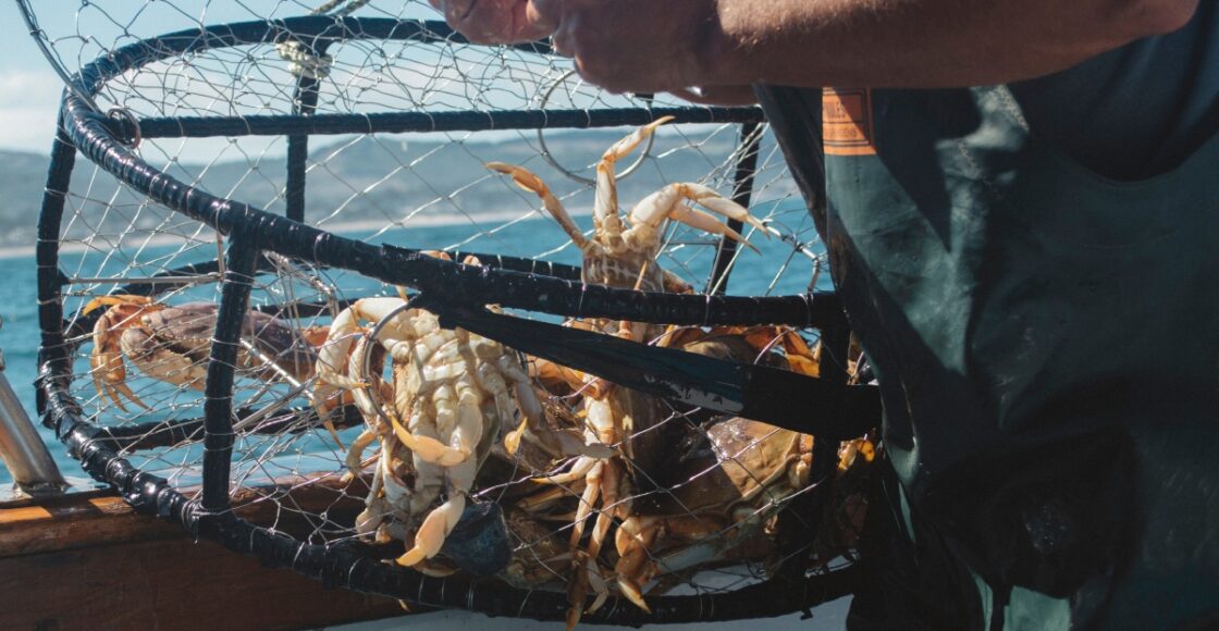 Best places in the US to go crabbing